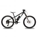 ben-e-bike Twentyfour E-Power Pro 2022  250 Wh black Edition