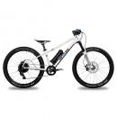 ben-e-bike Twentyfour E-Power Pro 2022 250 Wh